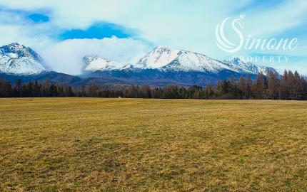 PREDANÉ! Stavebný pozemok v obci Gerlachov
