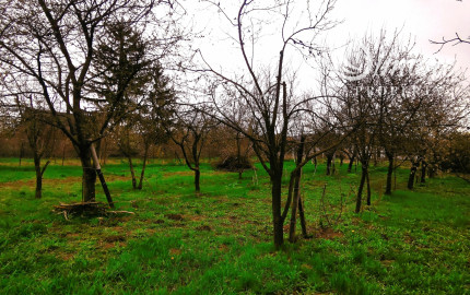 PREDANÉ! Pozemok na výstavbu RD, 800 m2, Méra - Maďarsko