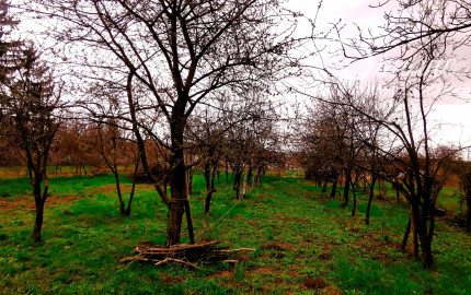 PREDANÉ! Pozemok na výstavbu RD, 800 m2, Méra - Maďarsko