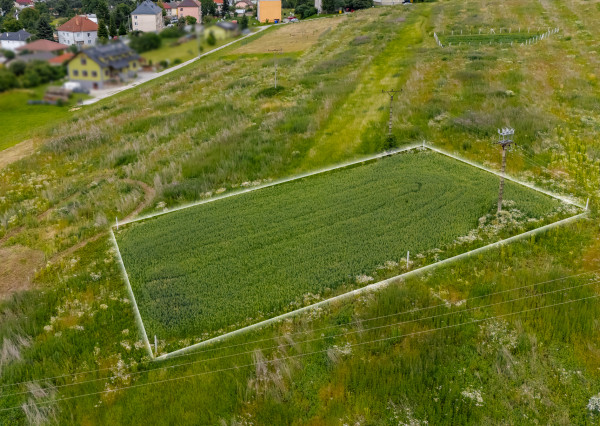 PREDANÉ! Pozemok určený na IBV - Lemešany - 1197 m2