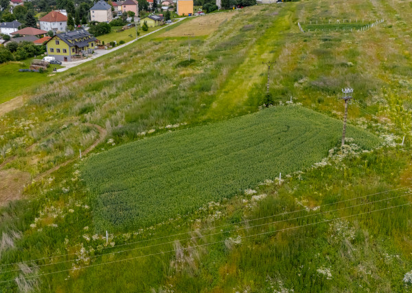 PREDANÉ! Pozemok určený na IBV - Lemešany - 1197 m2