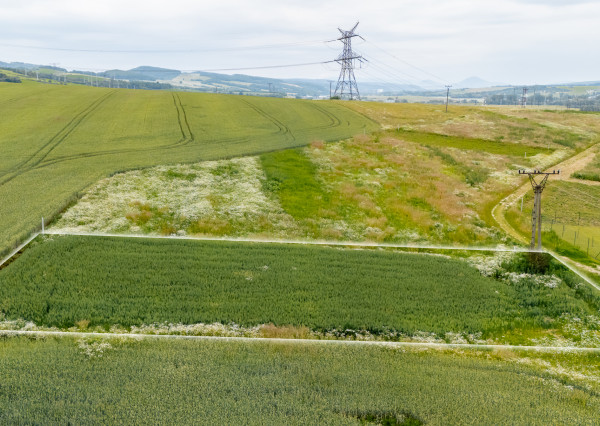 PREDANÉ! Pozemok určený na IBV - Lemešany - 845 m2