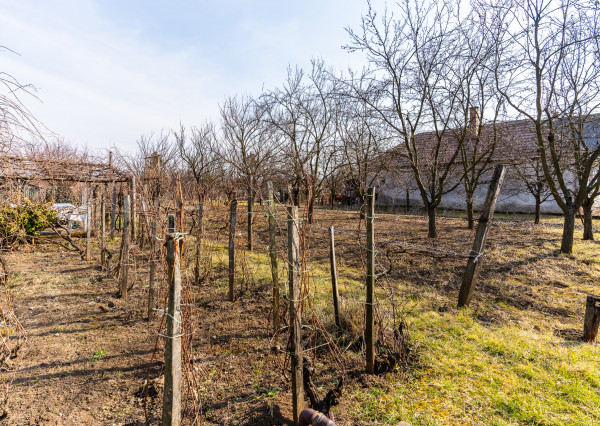 Vidiecky dom vhodný na chalupárčenie, 2170m2, Méra -Maďarsko