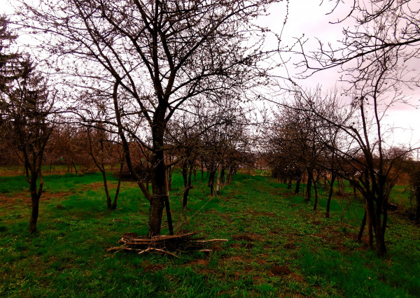 Pozemok na výstavbu RD, 800 m2, Méra - Maďarsko