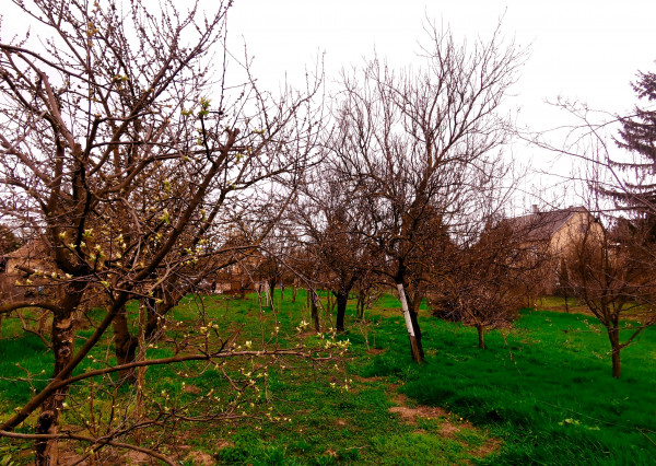 Pozemok na výstavbu RD, 800 m2, Méra - Maďarsko