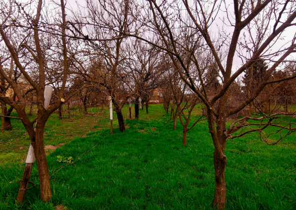 Pozemok na výstavbu RD, 800 m2, Méra - Maďarsko