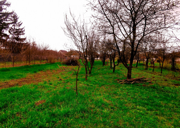 PREDANÉ! Pozemok na výstavbu RD, 800 m2, Méra - Maďarsko
