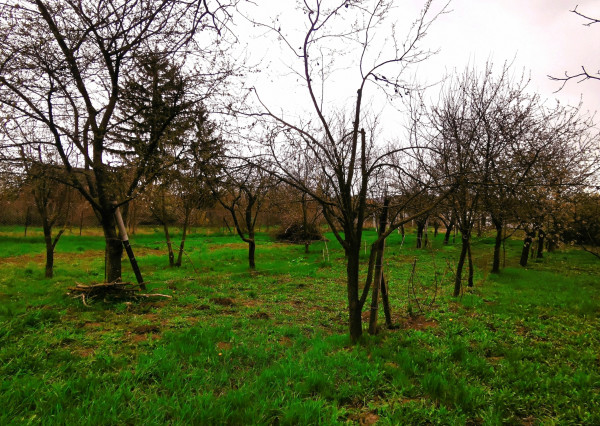 PREDANÉ! Pozemok na výstavbu RD, 800 m2, Méra - Maďarsko