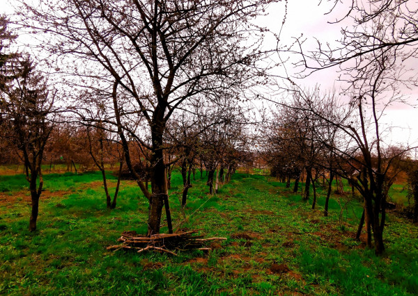 PREDANÉ! Pozemok na výstavbu RD, 800 m2, Méra - Maďarsko
