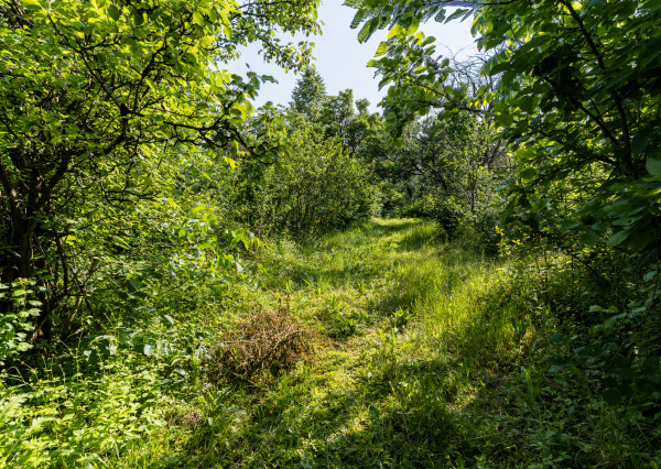Stavebný pozemok s RD, 1786 m2, Pereš - Košice