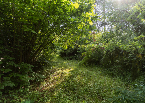 Stavebný pozemok s RD, 1786 m2, Pereš - Košice