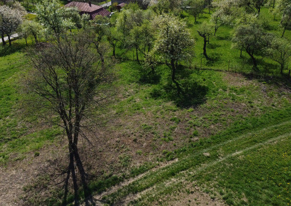 Stavebné pozemky v obci Vtáčkovce