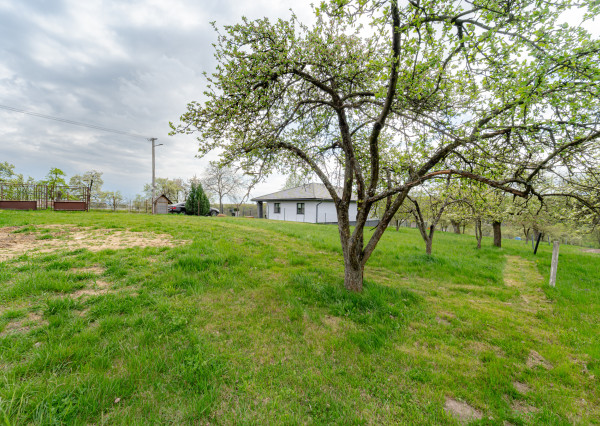 Stavebný pozemok - 2 693 m² - v obci Bunetice