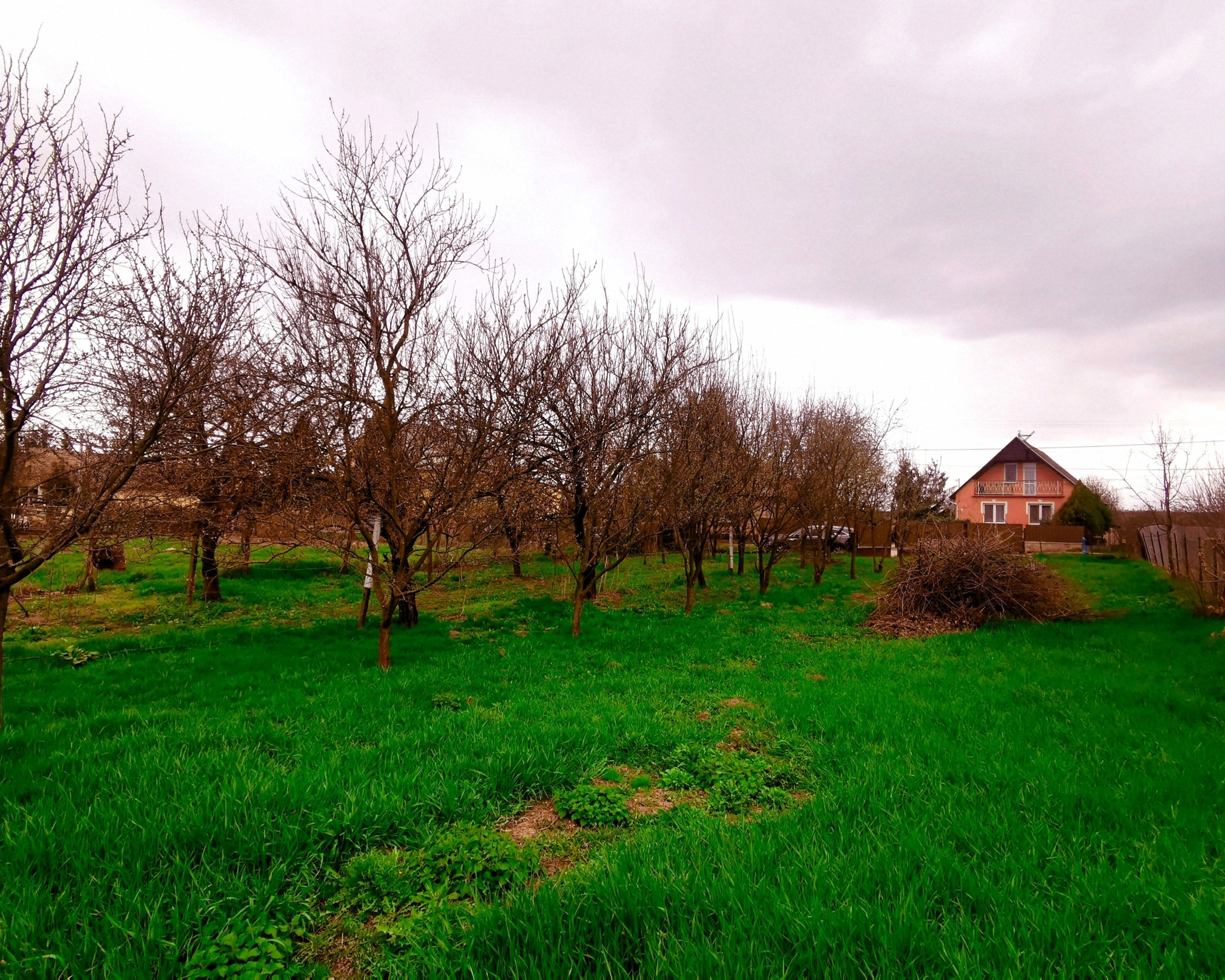 PREDANÉ! Pozemok na výstavbu RD, 800 m2, Méra - Maďarsko